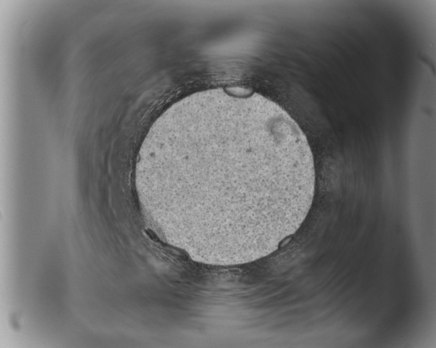 X0000103501441200810241113