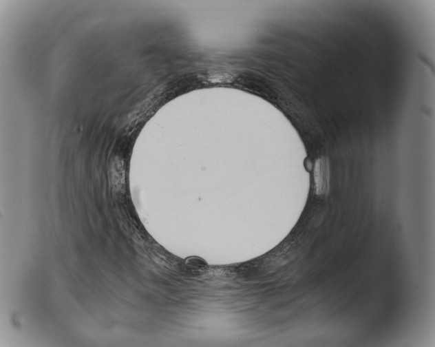 X0000103501443200810241113