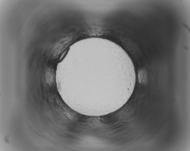 X0000103501444200810241113