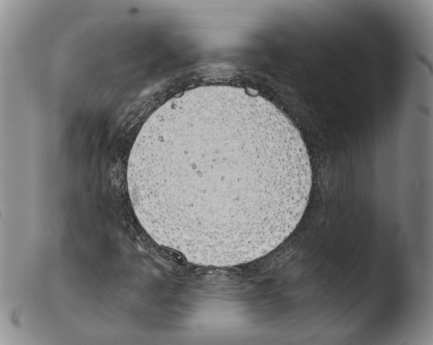 X0000103501445200810241113