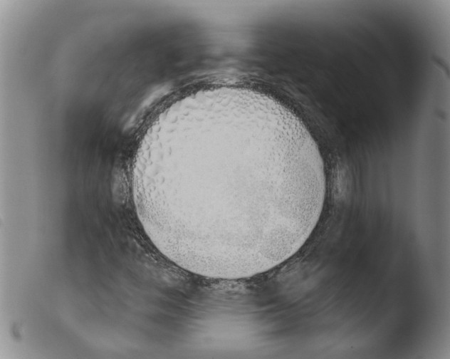 X0000103501446200810241113