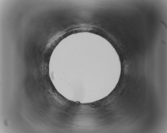 X0000103501448200810241113