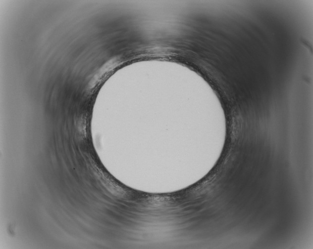 X0000103501451200810241113