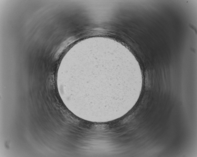 X0000103501453200810241113