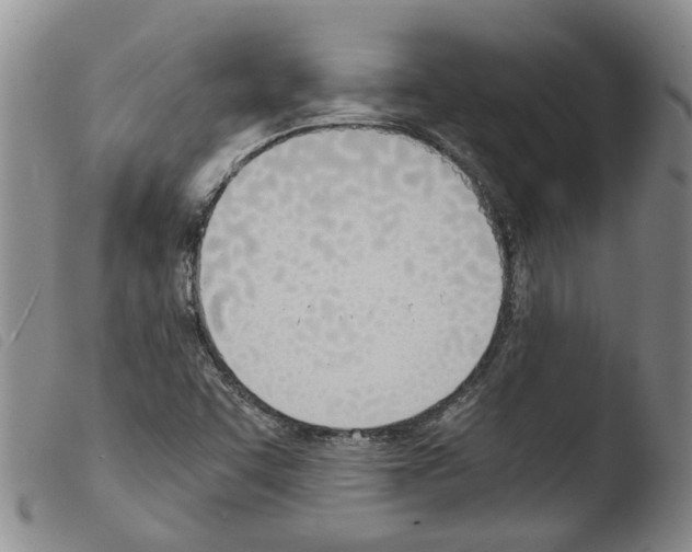 X0000103501455200810241113