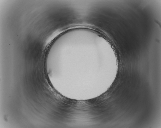 X0000103501456200810241113