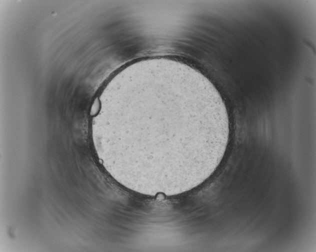 X0000103501457200810241113