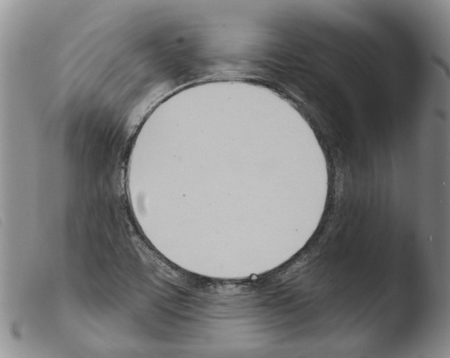 X0000103501459200810241113