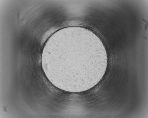 X0000103501461200810241113