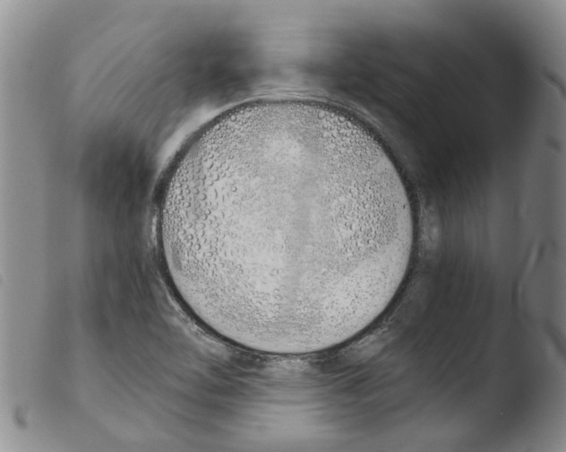 X0000103501462200810241113