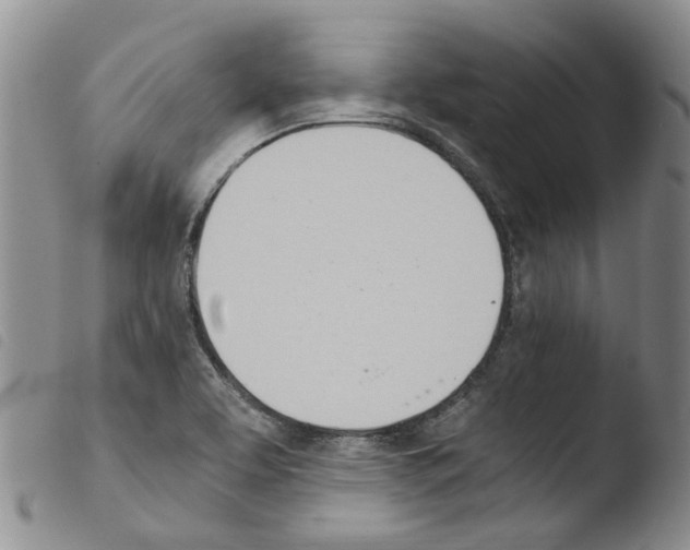 X0000103501463200810241113