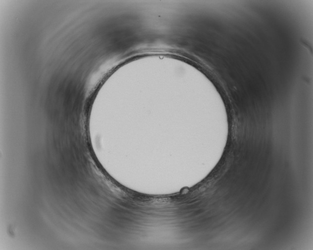 X0000103501464200810241113