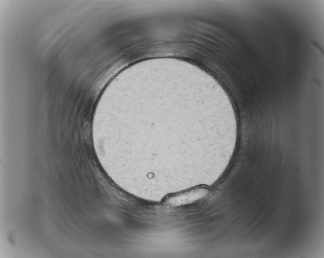 X0000103501465200810241113