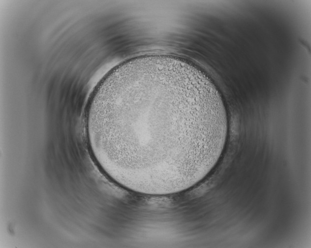 X0000103501466200810241113