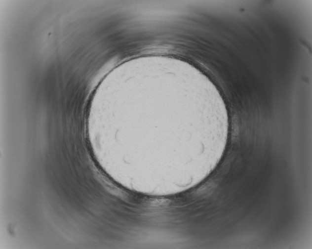 X0000103501467200810241113