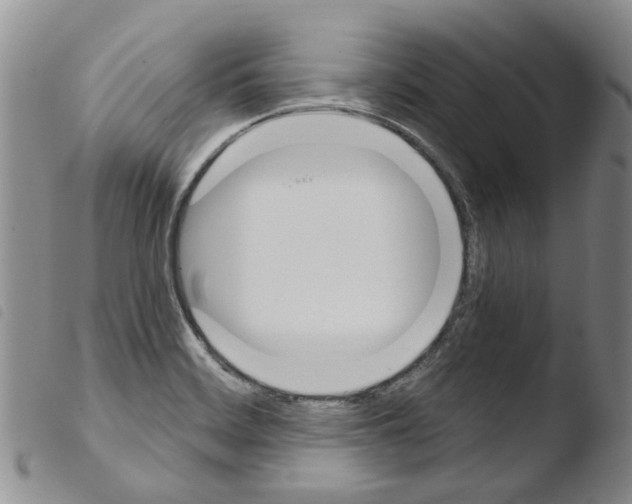 X0000103501468200810241113