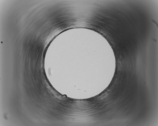 X0000103501469200810241113