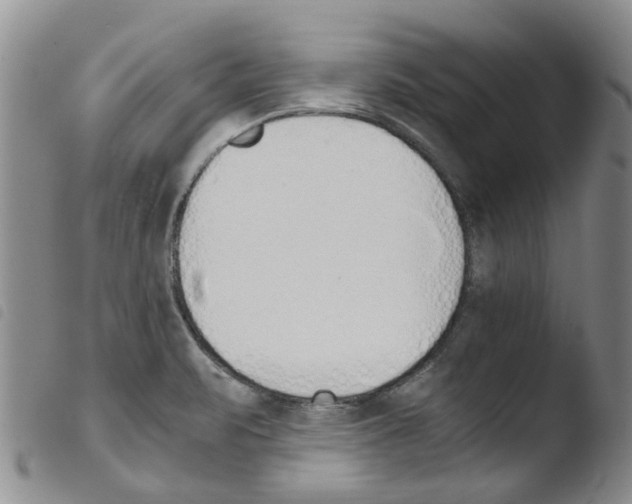 X0000103501471200810241113