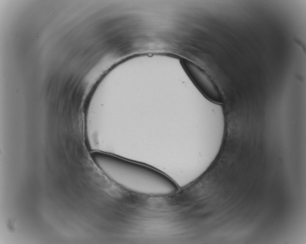 X0000103501472200810241113