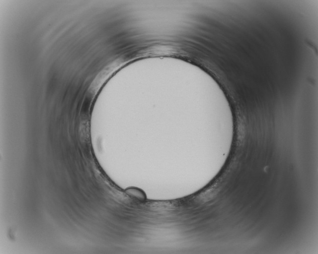 X0000103501473200810241113