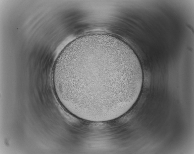 X0000103501474200810241113