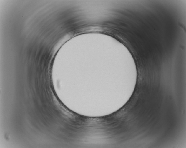 X0000103501475200810241113