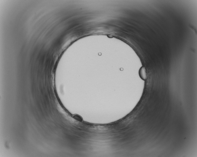 X0000103501476200810241113