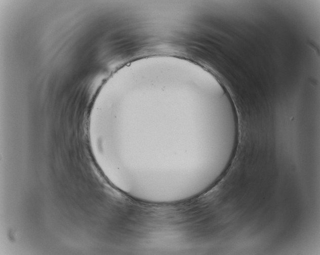 X0000103501477200810241113