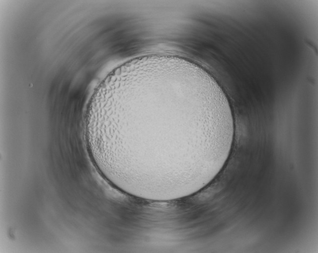 X0000103501478200810241113