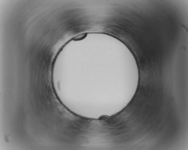 X0000103501480200810241113