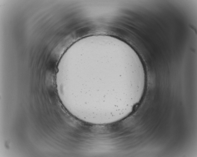 X0000103501481200810241113