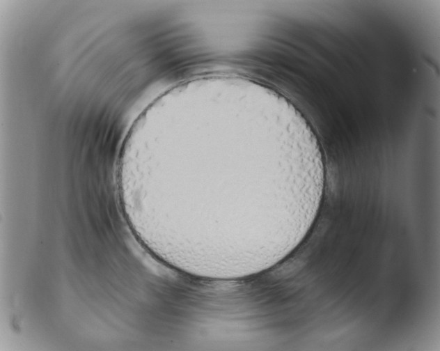 X0000103501482200810241113