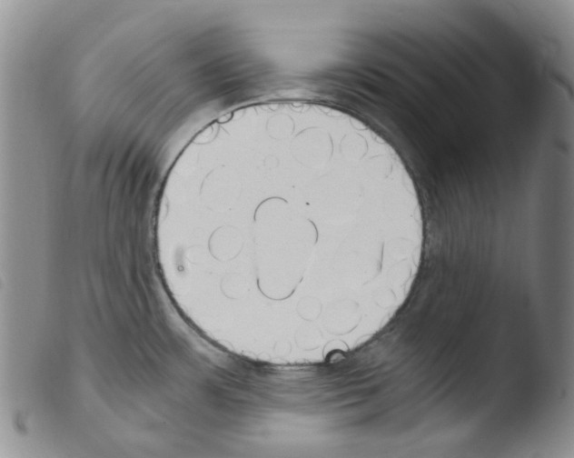 X0000103501483200810241113