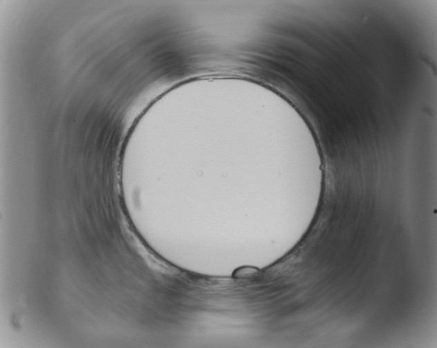 X0000103501485200810241113