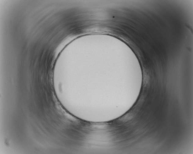 X0000103501486200810241113