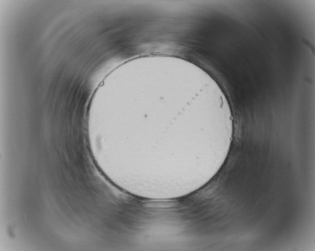 X0000103501487200810241113