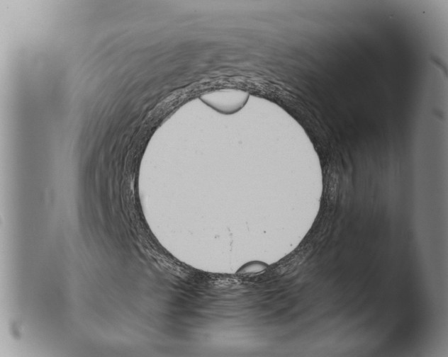 X0000103501489200810241112