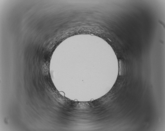 X0000103501491200810241112