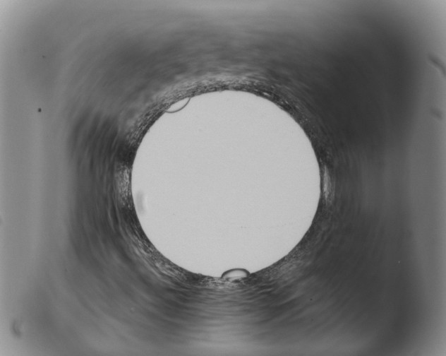 X0000103501492200810241112