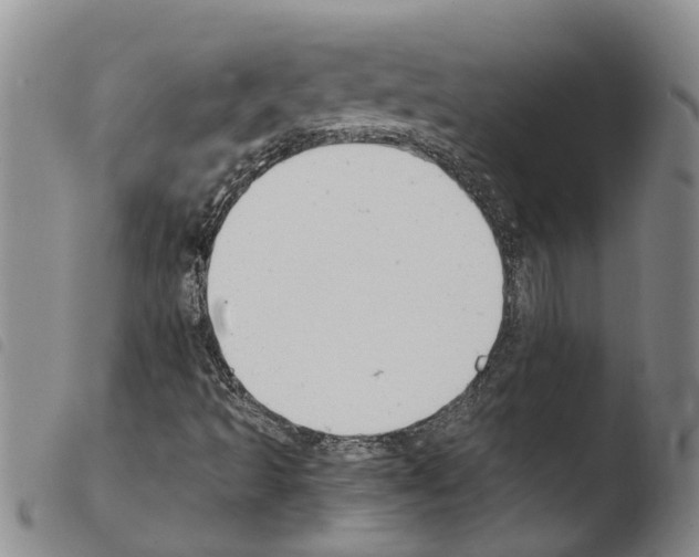 X0000103501493200810241112