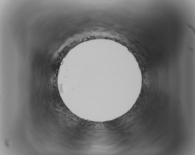 X0000103501495200810241112