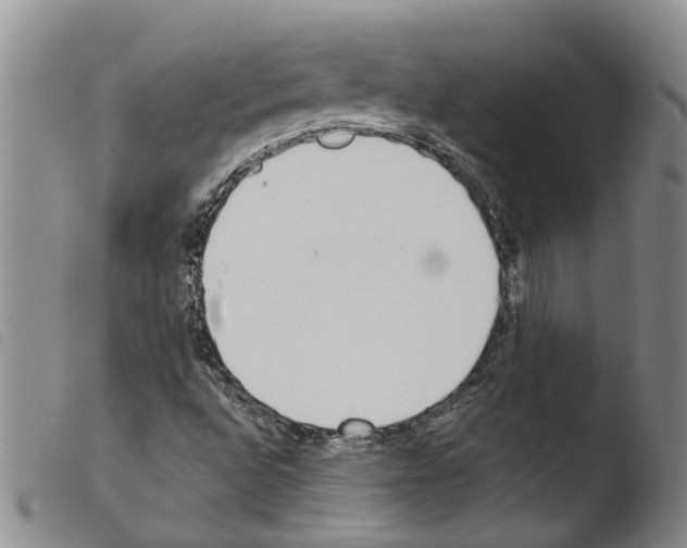 X0000103501496200810241112