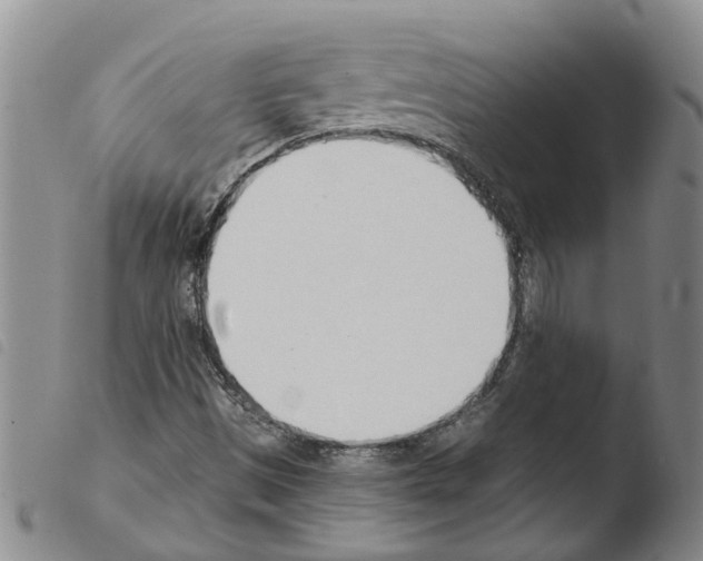 X0000103501497200810241112