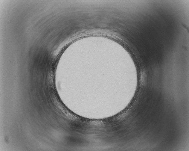 X0000103501498200810241112