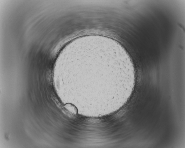 X0000103501499200810241112