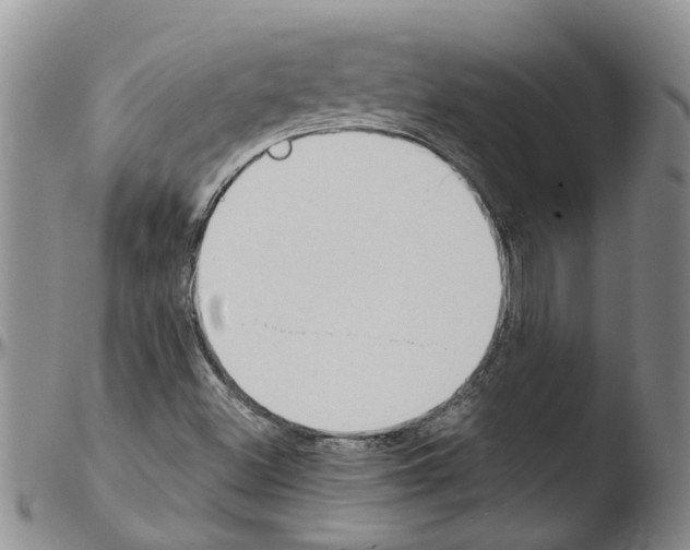 X0000103501500200810241112