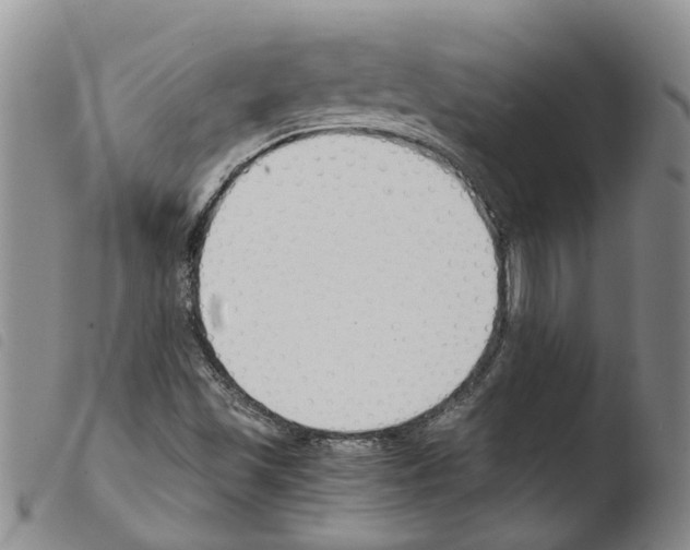 X0000103501501200810241112