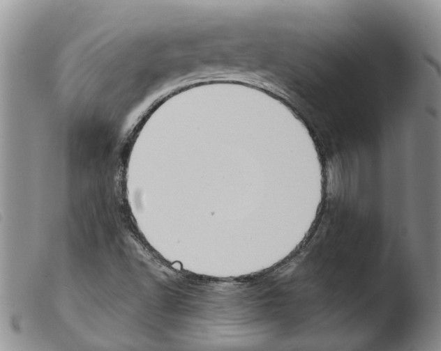 X0000103501502200810241112