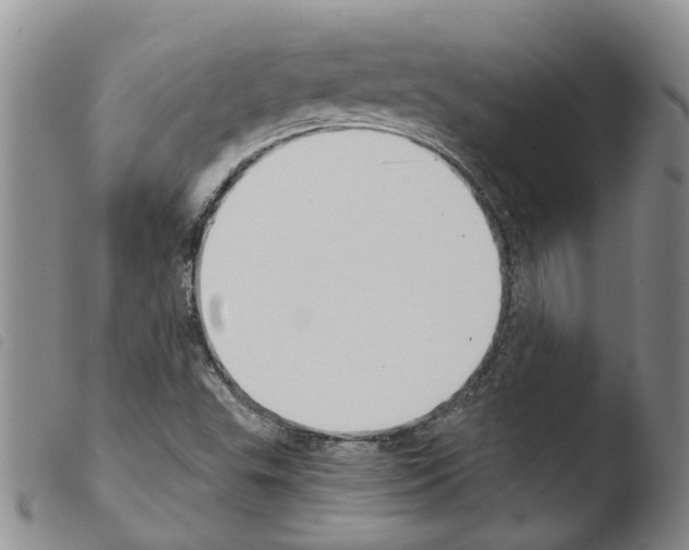 X0000103501503200810241112