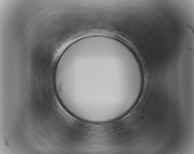 X0000103501504200810241112